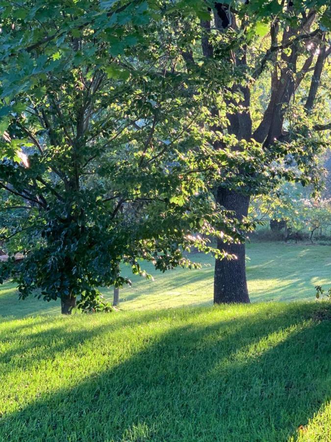 Bio & B - Italyke Bed and Breakfast Βιτέρμπο Εξωτερικό φωτογραφία