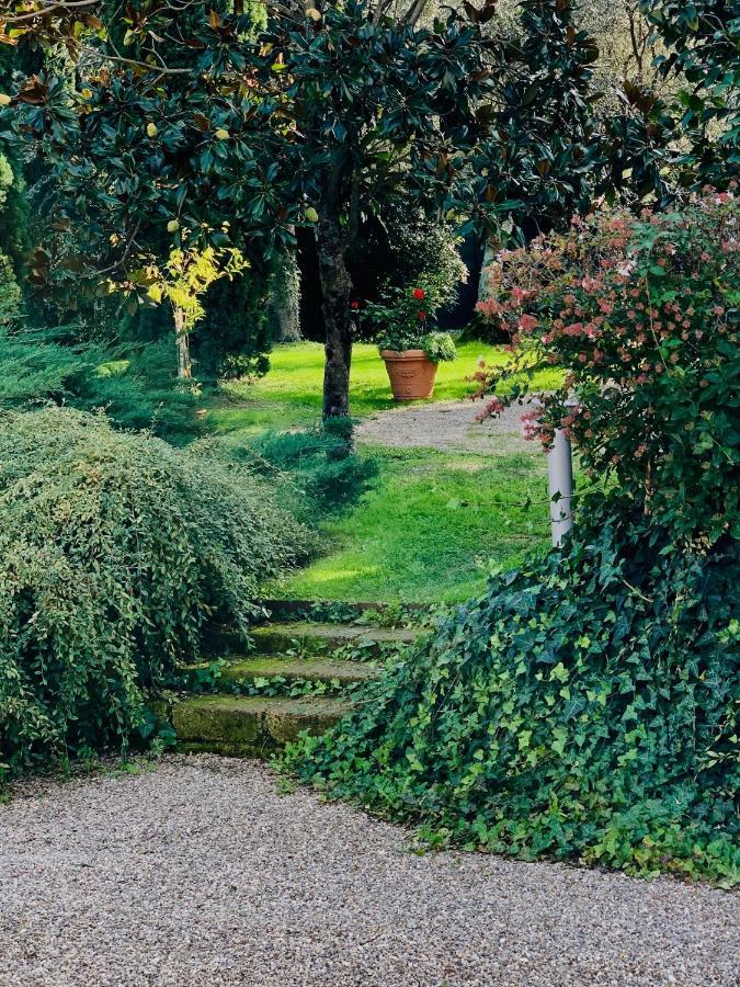 Bio & B - Italyke Bed and Breakfast Βιτέρμπο Εξωτερικό φωτογραφία